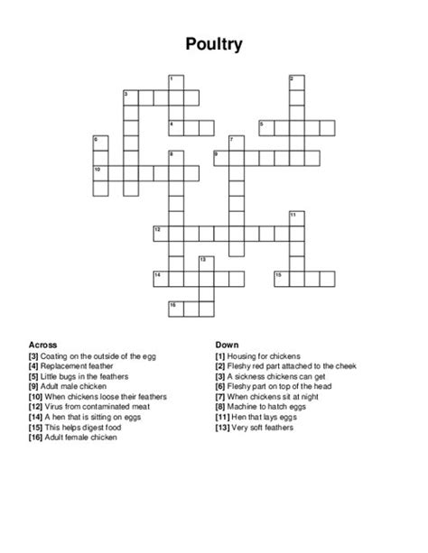 poultry choice crossword